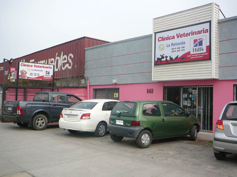 Clínica Veterinaria la Rotonda